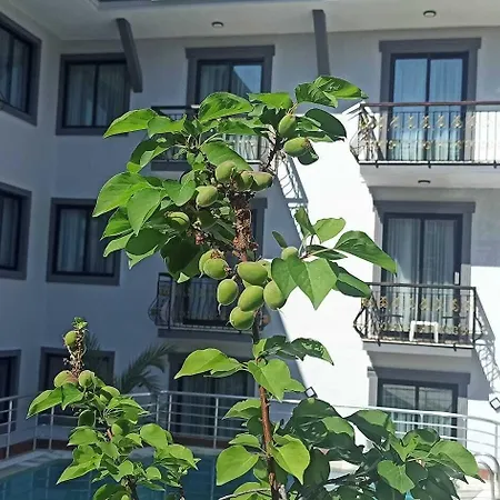 Apart-hotel Orange Garden Aparts & The Nordic Kemer